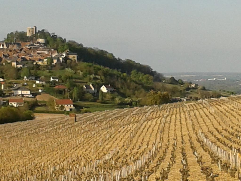 Le Clos Saint Martin Hotel Sancerre Exterior foto